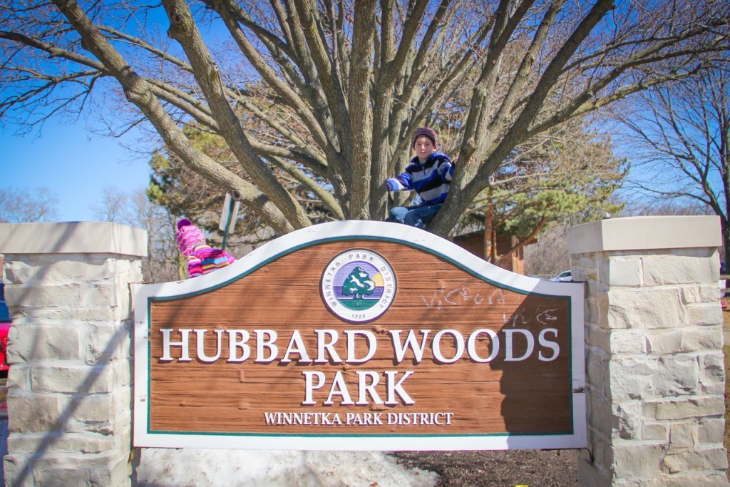 Hubbard Woods Park in Winnetka