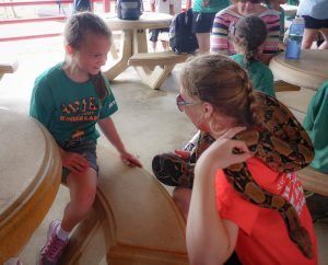 Sharkarosa - A Wildlife Ranch in Pilot Point, Texas