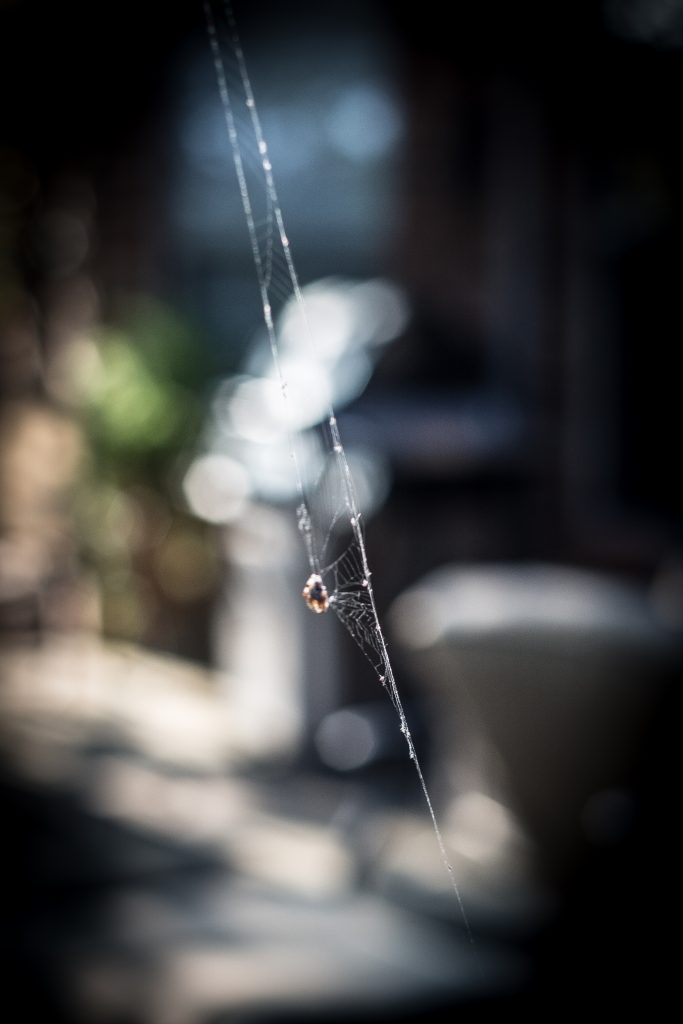 How to Shoot Spider Webs