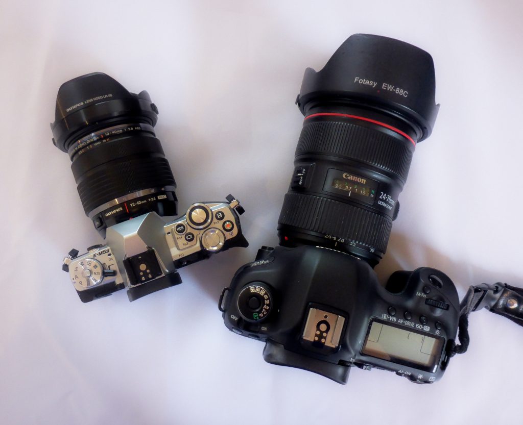 Just look at how tiny my little Olympus is compared to my Canon! Amazing, right? Now you can see why I refer to this as my "purse camera"!