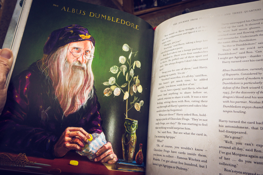 Harry Potter and the Sorcerer's Stone Illustrated Edition by Jim Kay