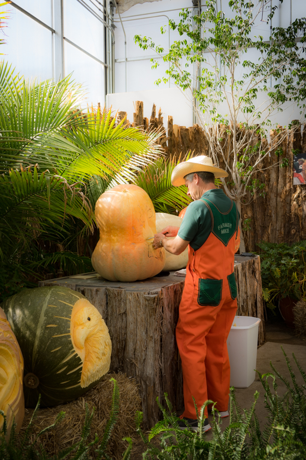 Extreme Pumpkin Carving with Farmer Mike