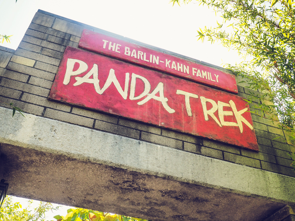 Black & White And Loved All Over…The Panda Trek in San Diego