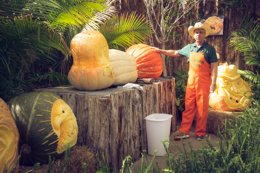 Farmer Mike:  Pumpkin Carving at the State Fair