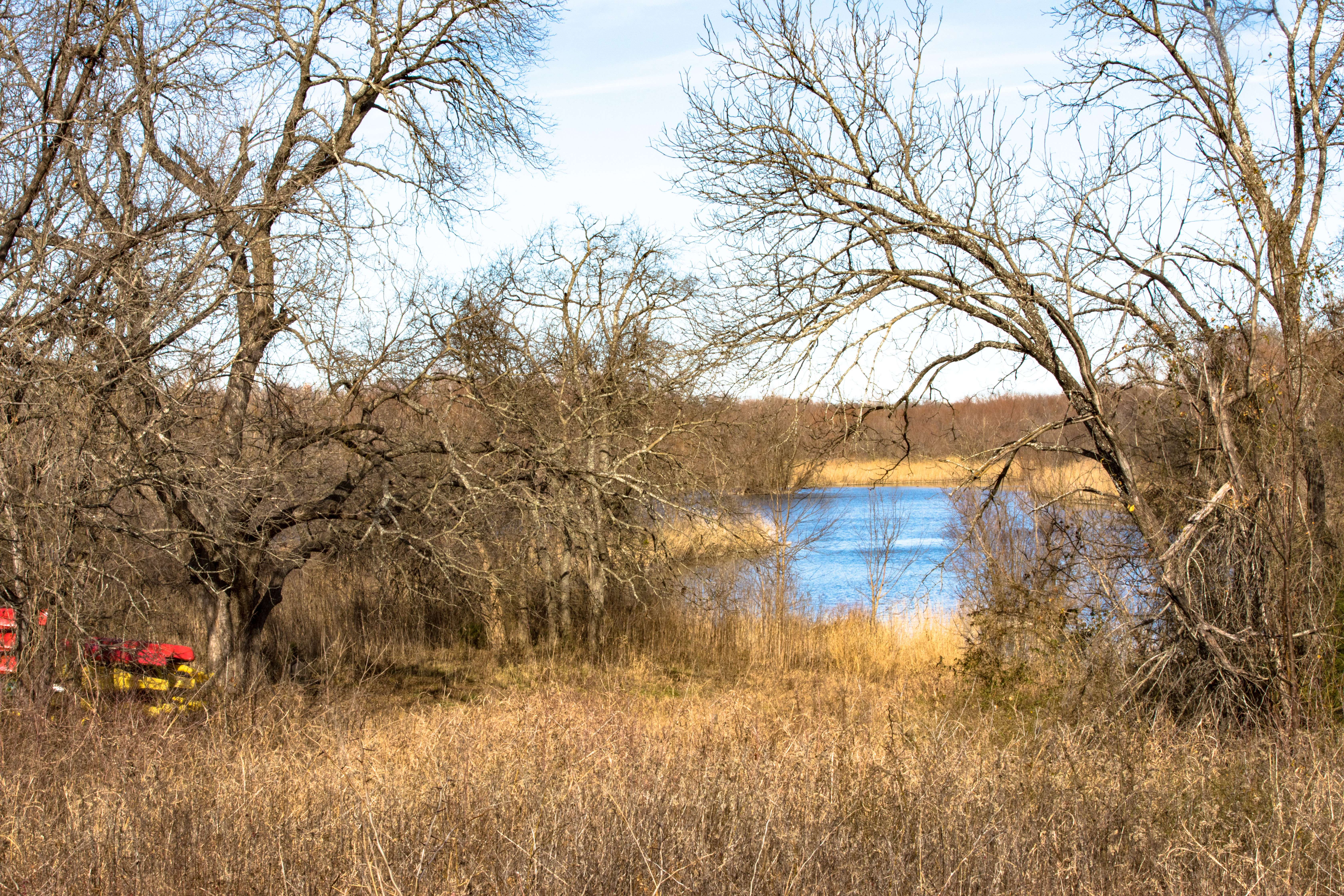 The Heard Natural Science Museum and Wildlife Sanctuary