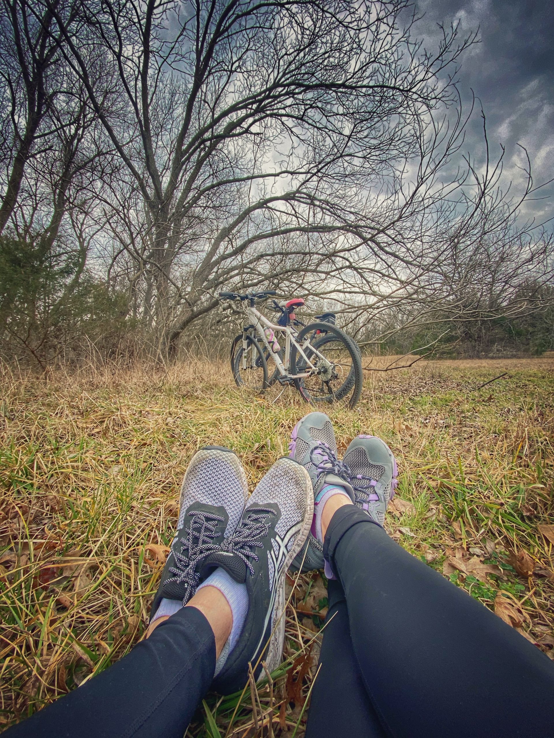 Mountain Biking at Erwin Park When You Can't Go Skiing, This Is a