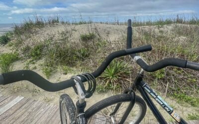 The Beach Cruiser Bike That I Didn’t Know I Needed…