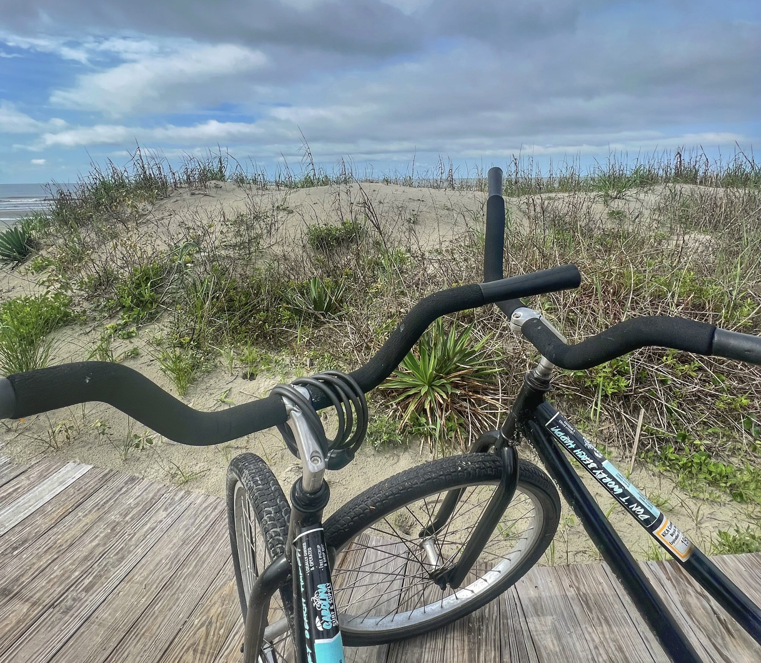 beach cruiser mtb